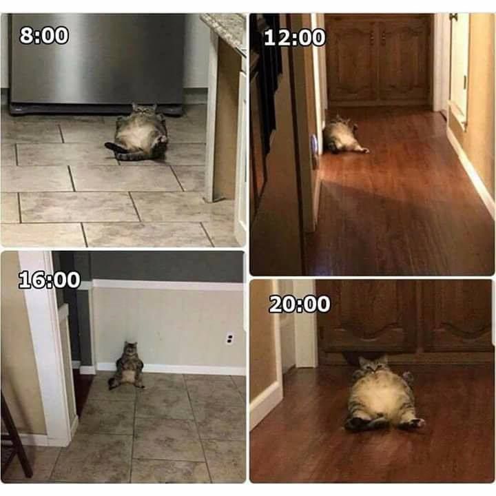 볼때마다 누워있다..
부럽다.. :)