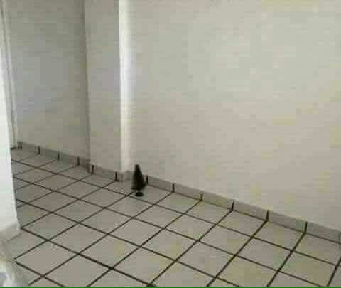 Minha marca falou ,
Filho compra uma árvore de natal e resto vc pode comprar de bebida pra vc . Comprei árvore pra ele e resto eu comprei de cachaça