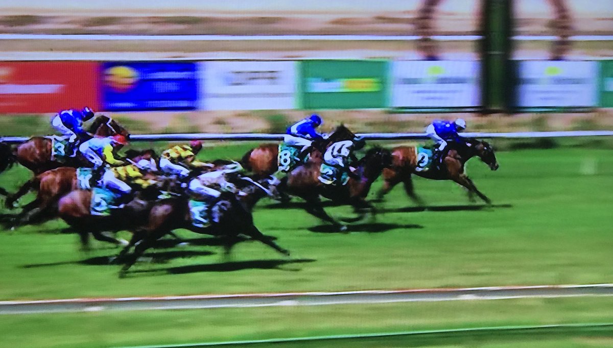 EquianoClub's tweet photo. #MIRIMBAH 4M Equiano x Cape Augusta (Capetown) wins at Benalla Vic for Gerald Egan Racing &amp; @LachieJamesKing @newsellspark https://t.co/LdCI6GEzoj