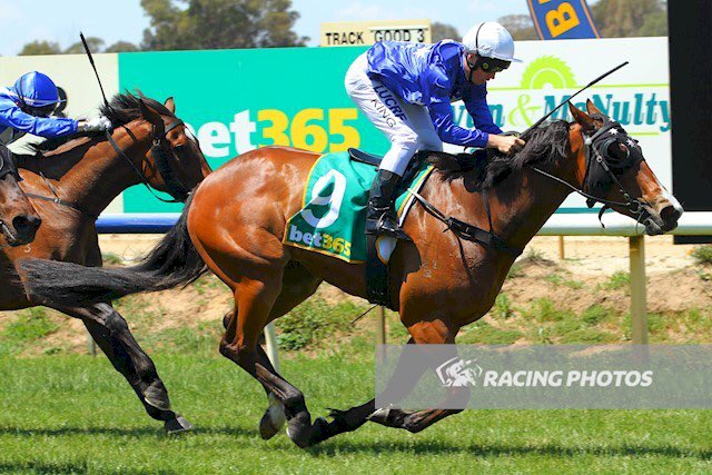 EquianoClub's tweet photo. #MIRIMBAH 4M Equiano x Cape Augusta (Capetown) wins at Benalla Vic for Gerald Egan Racing &amp; @LachieJamesKing @newsellspark https://t.co/LdCI6GEzoj