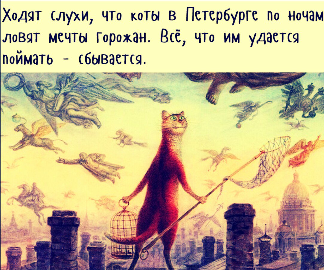 Кот с сачком