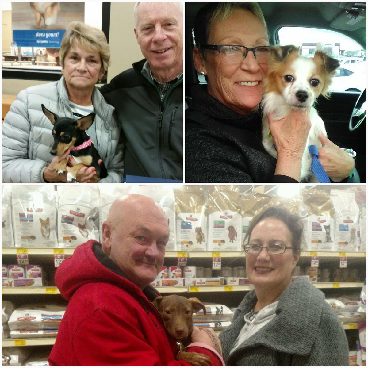 GordonGsimp1984's tweet photo. So cute! More than 80 pets have new homes thanks to our partners.... but we have 1 more day to go but many more furry critters waiting for you! #adoptspot #petsmart https://t.co/hFc6m9GSZX