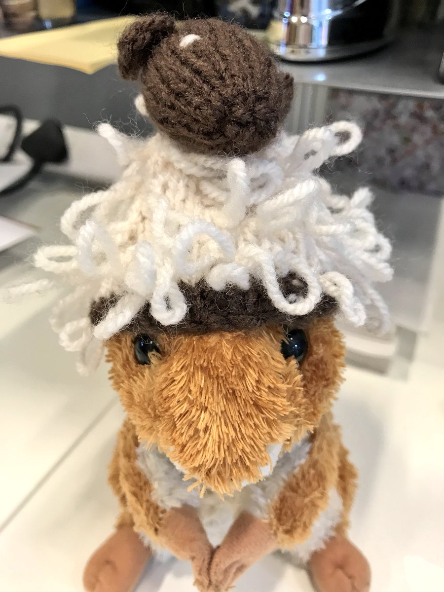 AGMSquirrel tweet media