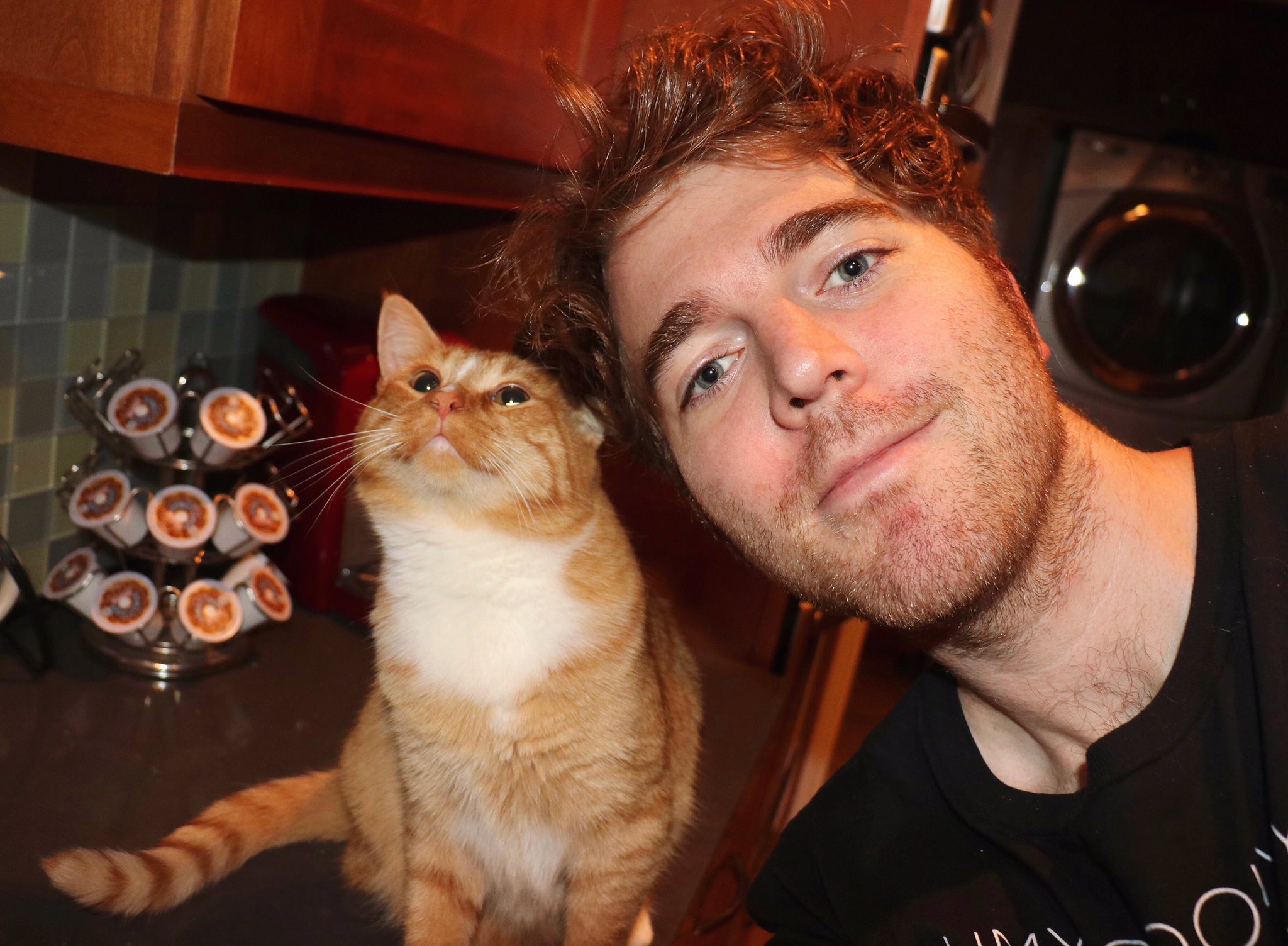 Shane Dawson on Twitter