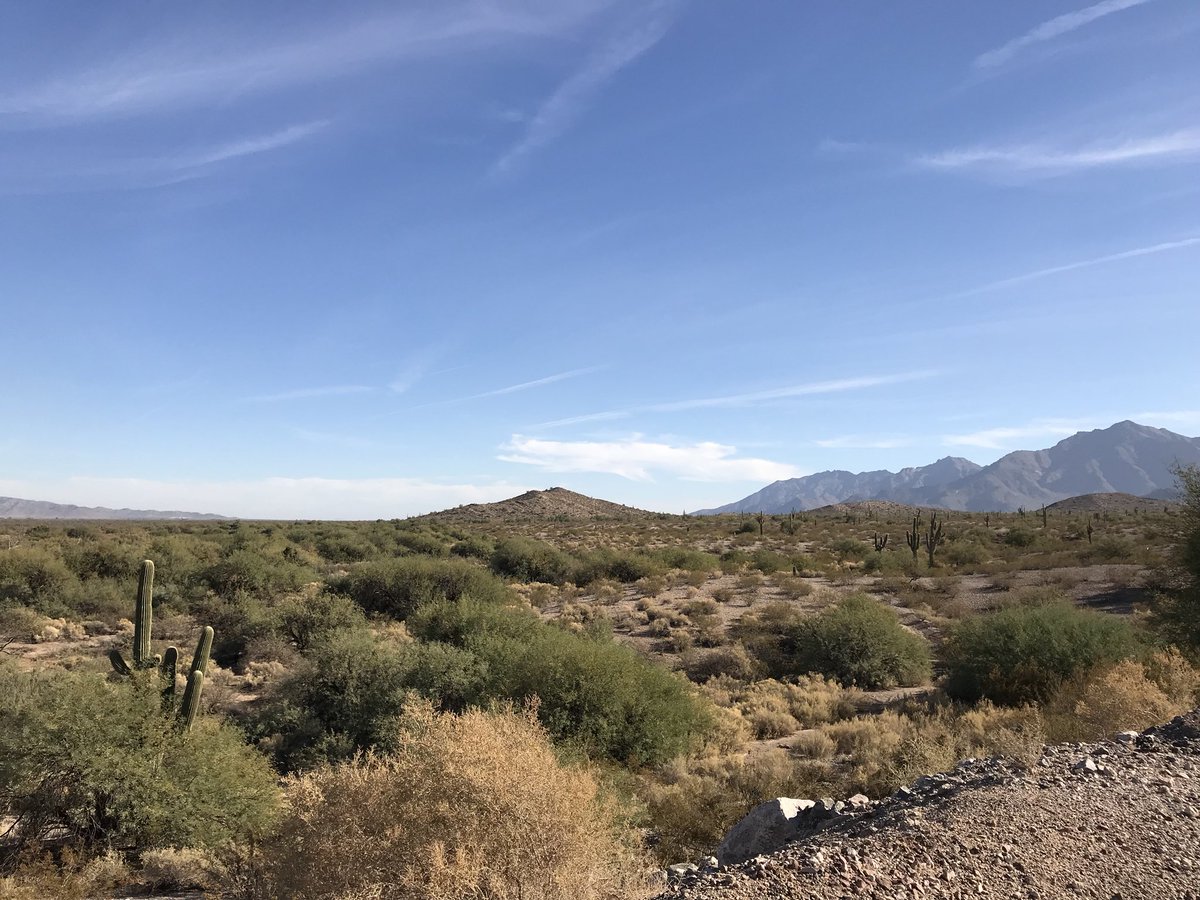 jgalligan17's tweet photo. Phoenix has a few assets. #DesertGem https://t.co/PPUcDC8omO