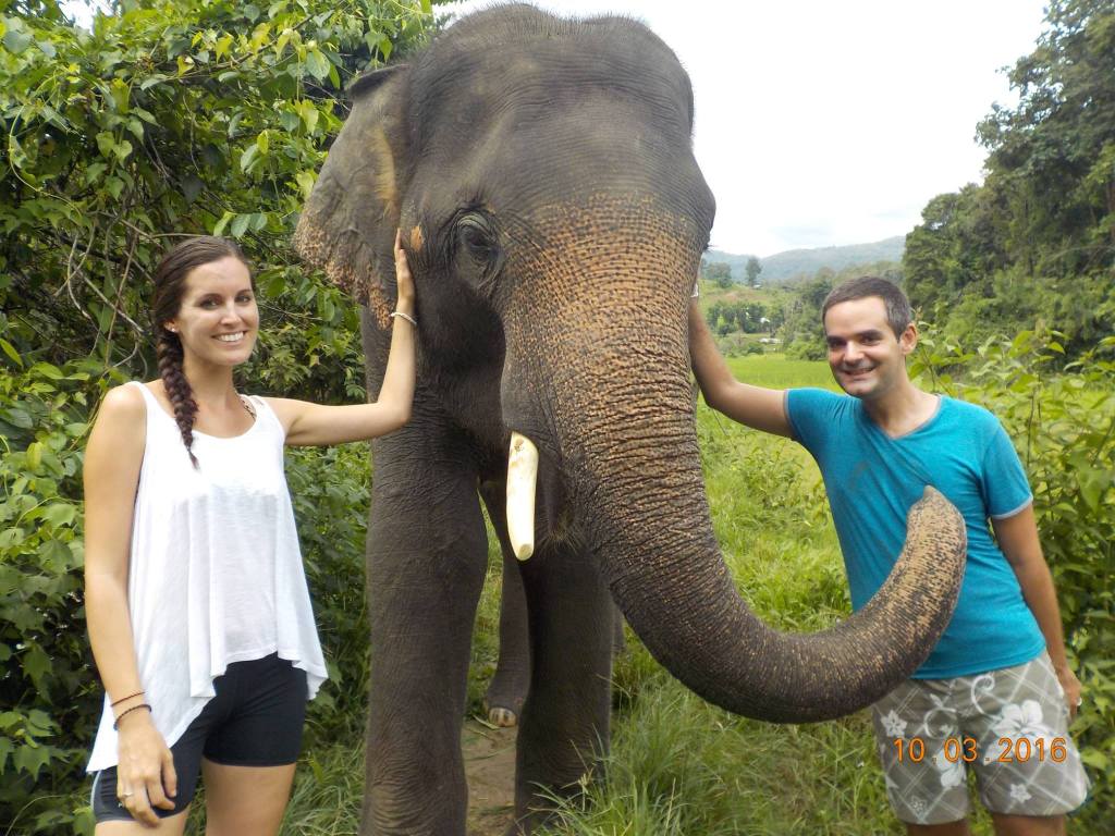 jsnl85's tweet photo. Elephant Family Sanctuary https://t.co/WzmVL669Tq https://t.co/az8ePQ3AzD