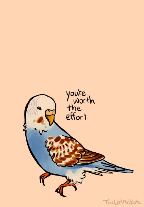 uwlpave's tweet photo. You’re worth it! #selfcare #cutelilparakeet https://t.co/hFnjmciOOT