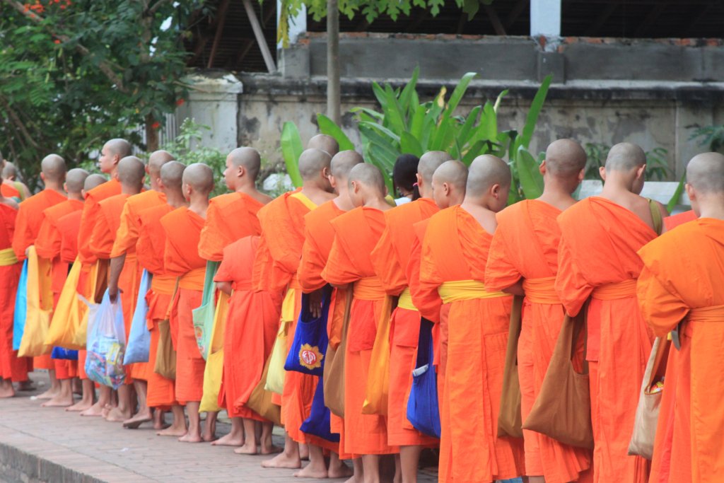 jsnl85's tweet photo. Luang Prabang https://t.co/ocYPtUqN8X https://t.co/uOQQNbe77V