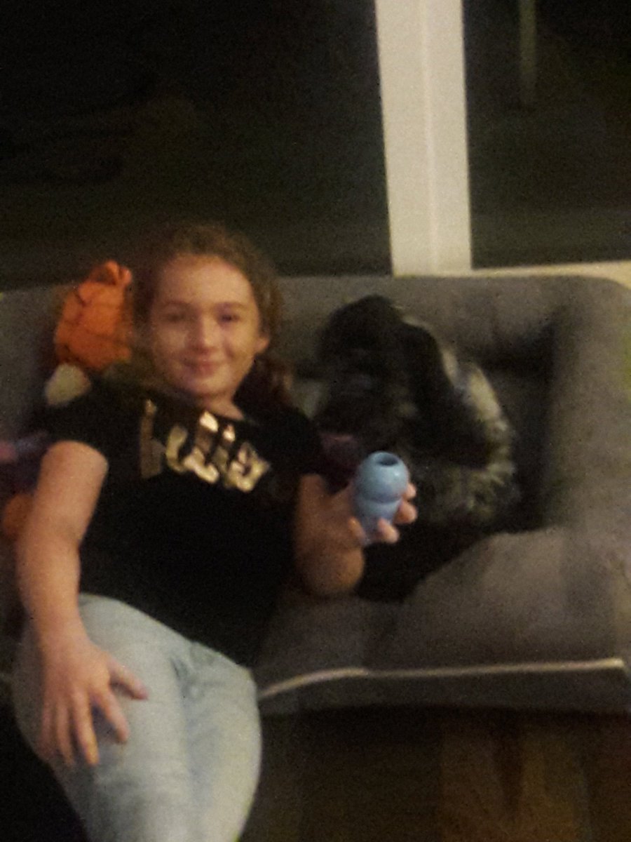 Topdognaples's tweet photo. NAPLES TOP DOGS PET SITTING AND MUCH MORE! https://t.co/9cuIQQQEF1