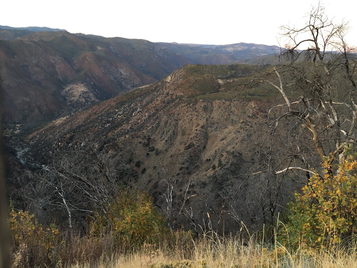 tsylee's tweet image. #rimfire01