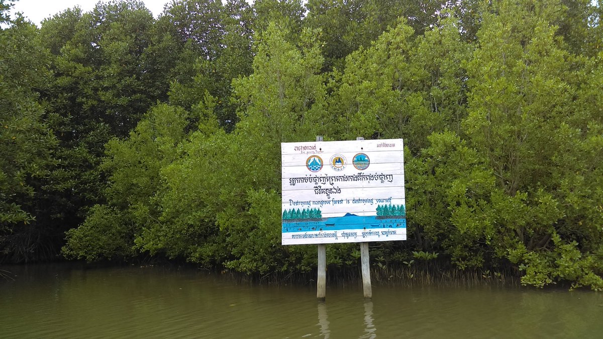 Sonita_GG's tweet photo. Together, we protect our mangroves. #mangrovelivesisourlives
#SinglesDay #Cambodia #kepcity #plantgraphy #sealife https://t.co/jAG63uS83j