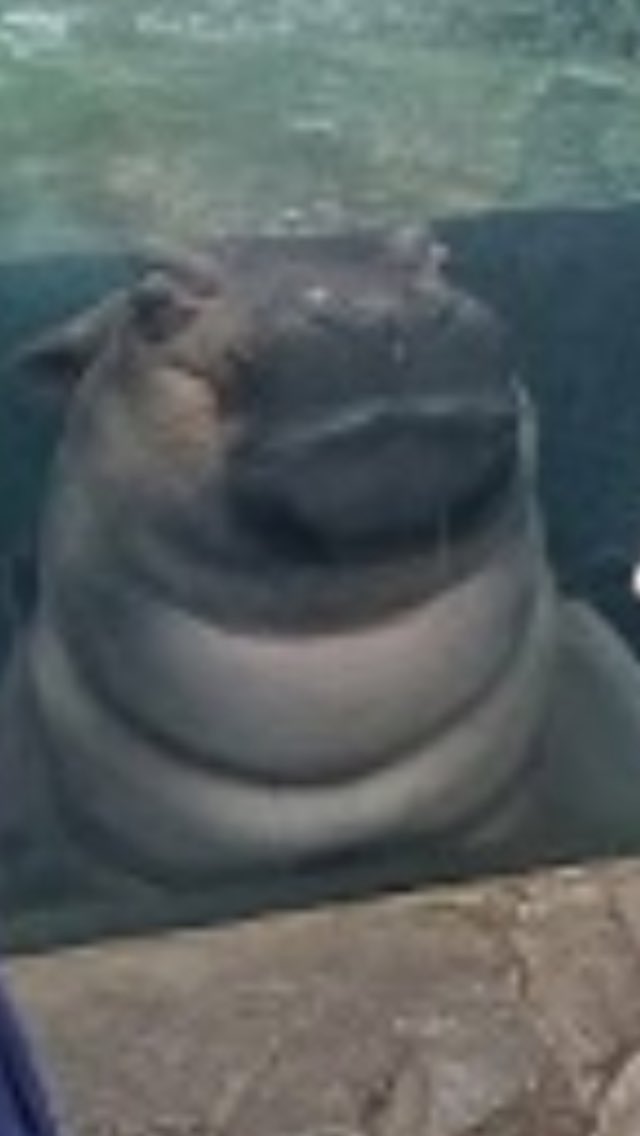 Gideon Resnick (@gideonresnick) on Twitter photo 