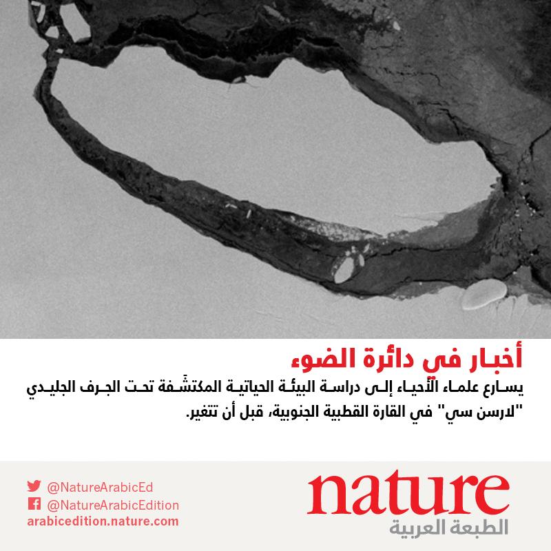 Nature Middle East (Ar) tweet media