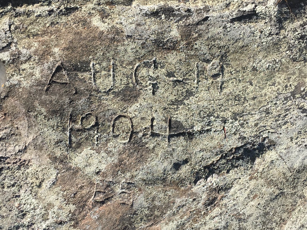 Found along the Rock Trail.