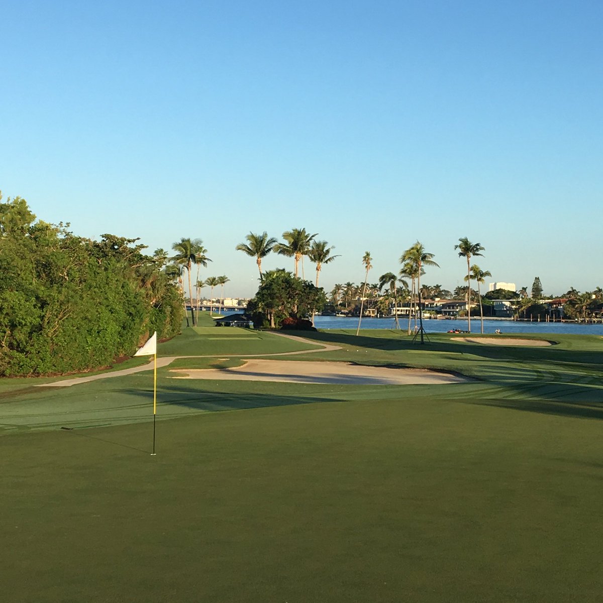 After 9 weeks of c/u post Irma, starting to think about turf again