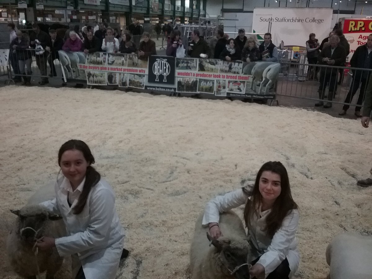 Animalholme's tweet photo. @AbbotsholmeSch students competing in young handlers classes @Engwinterfair well done to all concerned places in every class https://t.co/K5yjNhje2m