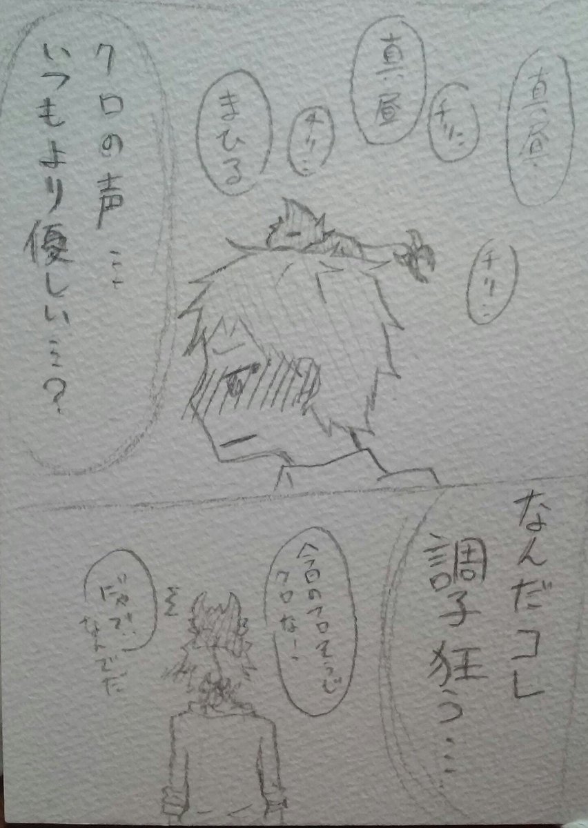 しぃ No Twitter 掃除してたら発掘したサーヴァンプのクロ真漫画 カメラの画質が悪いので分割してしまったけどそれでも見づらい