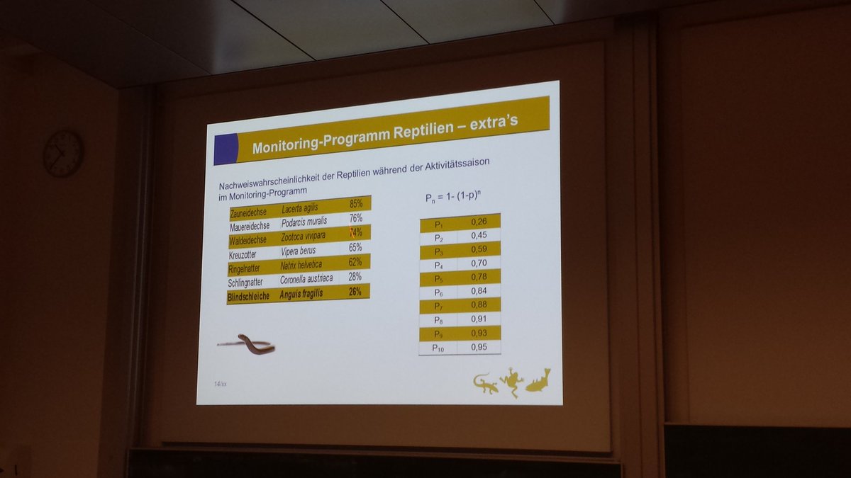 am_durso's tweet photo. Detection probability of Slowworms is the lowest of any reptile in the Netherlands #DGHT-AG https://t.co/uSFpUroqJ4