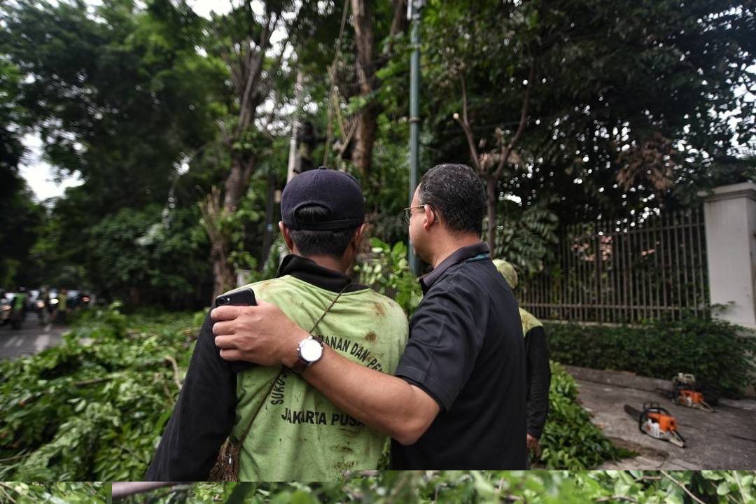 aniesbaswedan's tweet photo. Apresiasi sebesar-besarnya pada teman-teman pasukan hijau Dinas Pertamanan yg cepat tanggap menangani pohon-pohon yg berpotensi tumbang di musim penghujan.

#OperasiSiagaIbukota

https://t.co/oBTEGqSgzO https://t.co/DOeKkDWk2y