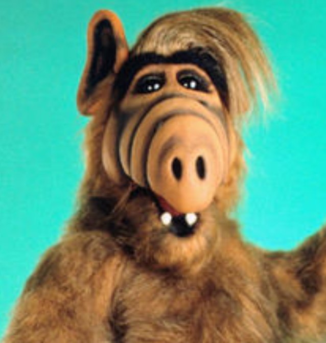 RafaOterino1993's tweet photo. El parecido es más que razonable #Ramos #Alf #AtletiRealMadrid https://t.co/8uKDLH44N3