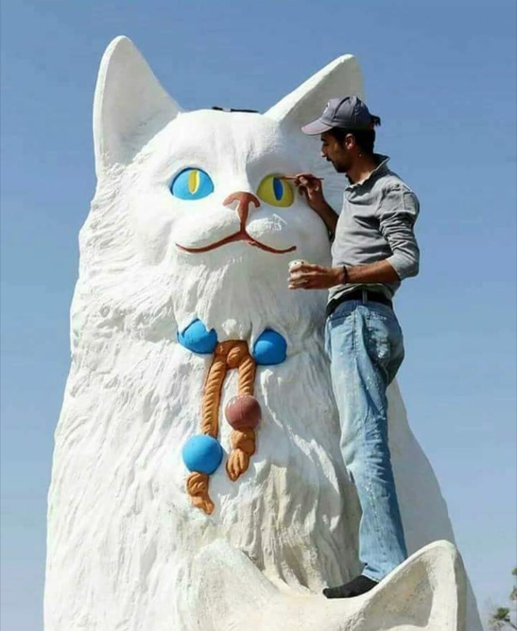 Selahattin (@selhattin5673) on Twitter photo 