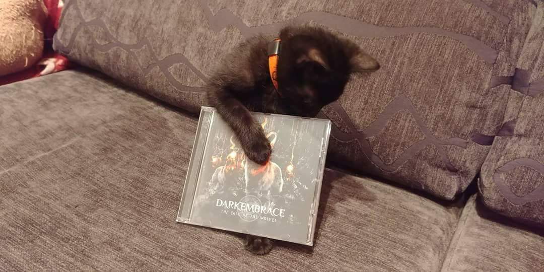 Gatsu ya tiene su cd de Dark Embrace, ¿y tú a qué esperas? 😸
Gatsu already bought his Dark Embrace cd, what are waiting to get your copy?