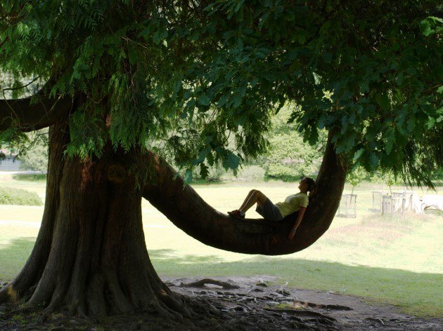 Starting a new series on amazing  #Irish  #trees! This is the sitting tree,  #Glendalough, Co  #Wicklow!  @theirelandguide  @Irishwildlife  @katieholten  @IRISHGIFTTREES  @NativeWoodTrust  @PeterDowdall  @TheIrishGardens  #Ireland  #tree  #Irishtrees