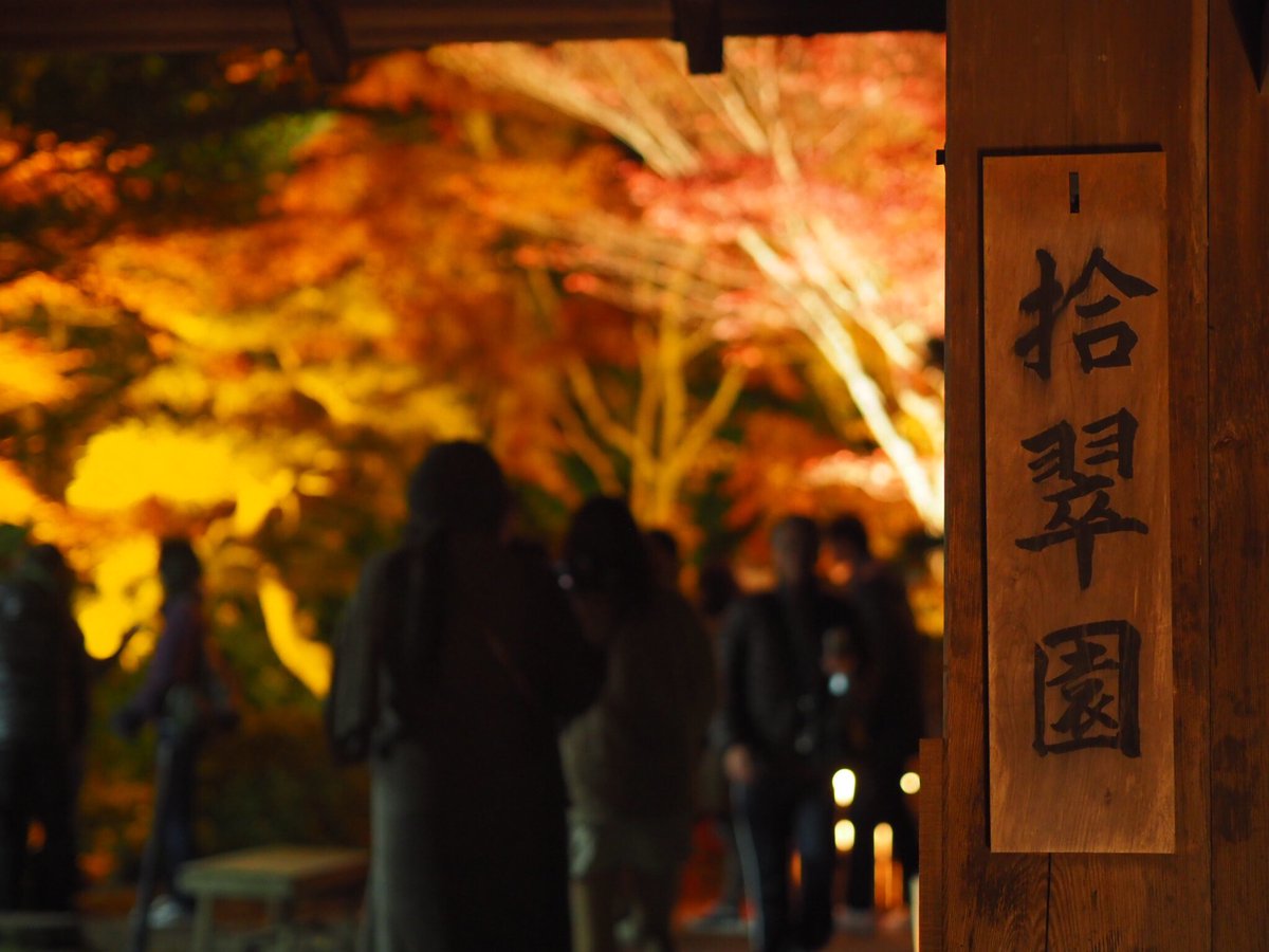 haaaaach5723's tweet photo. 京都行くついでに綺麗と言われてる石山寺に立ち寄ってみた。ただただ、馬鹿綺麗。 https://t.co/jfMqQY7q7Y