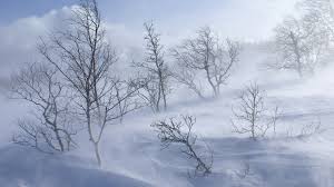 SandraDanby's tweet image. "It came without warning, the white, as quickly as a sigh" 
#snow
WHITEOUT 
#ShortStoryWeek bit.ly/1sb1s4H