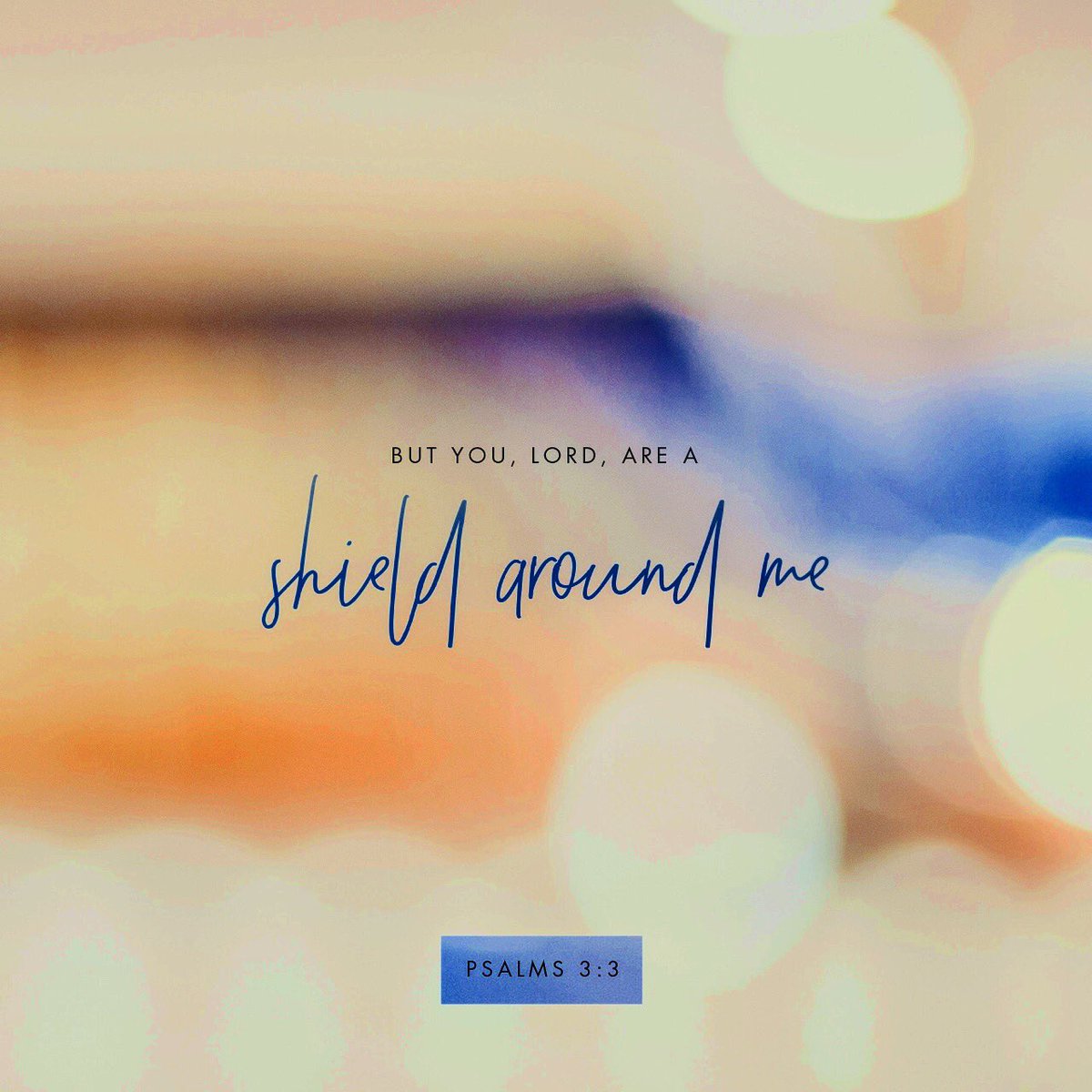 TamiHeim tweet media