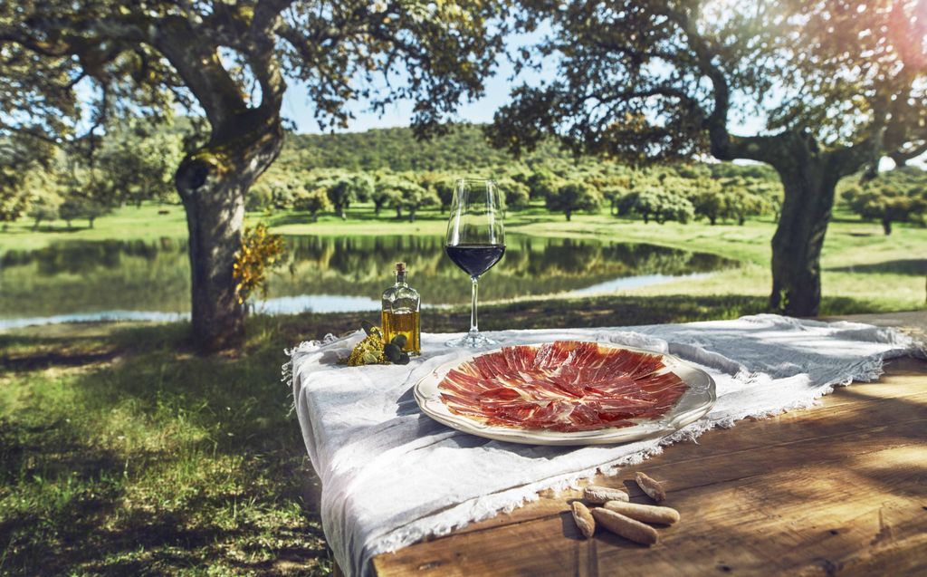 Spain_in_CH's tweet photo. Iberian ham... with a good wine! 😋
A healthy delicacy for any occasion. 
#Gastronomy #tapa #IberiamHam #jamoniberico #wine
#spanishcuisine #LoveSpain https://t.co/RC7uRTDcRe