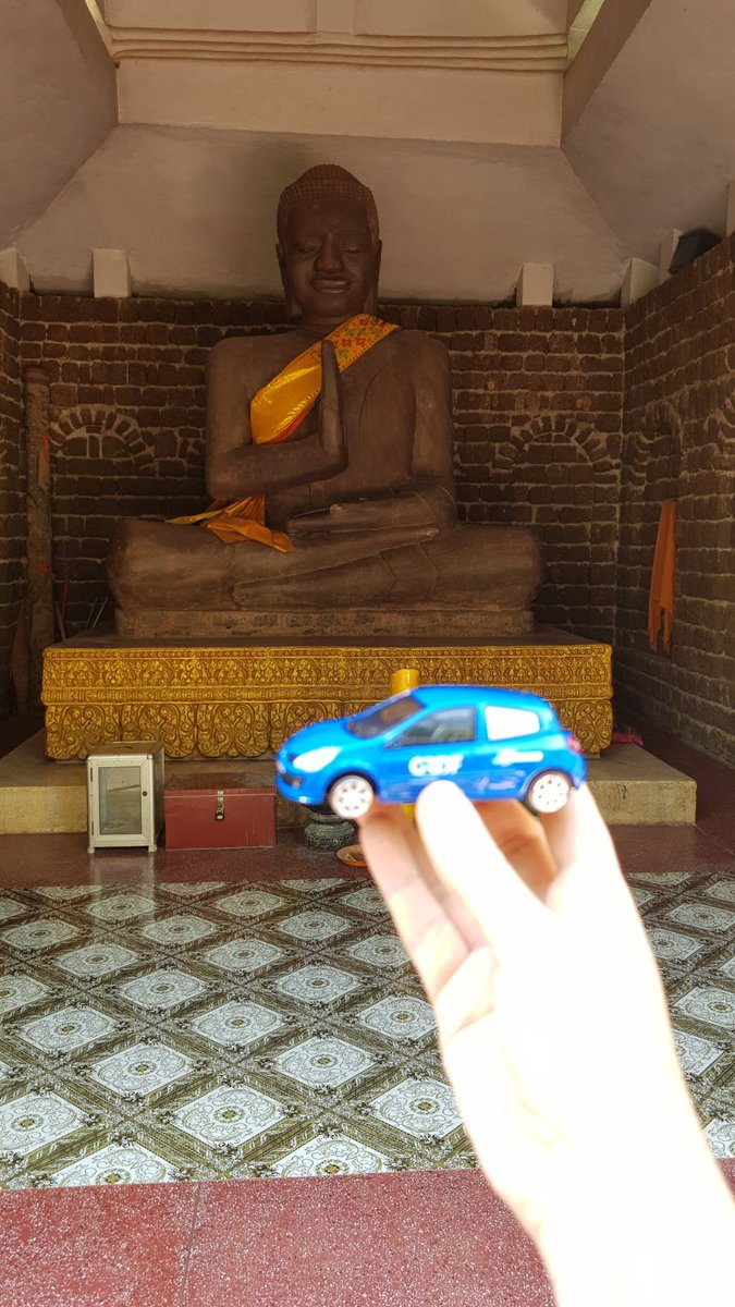 Soltysiak Maite tweet media