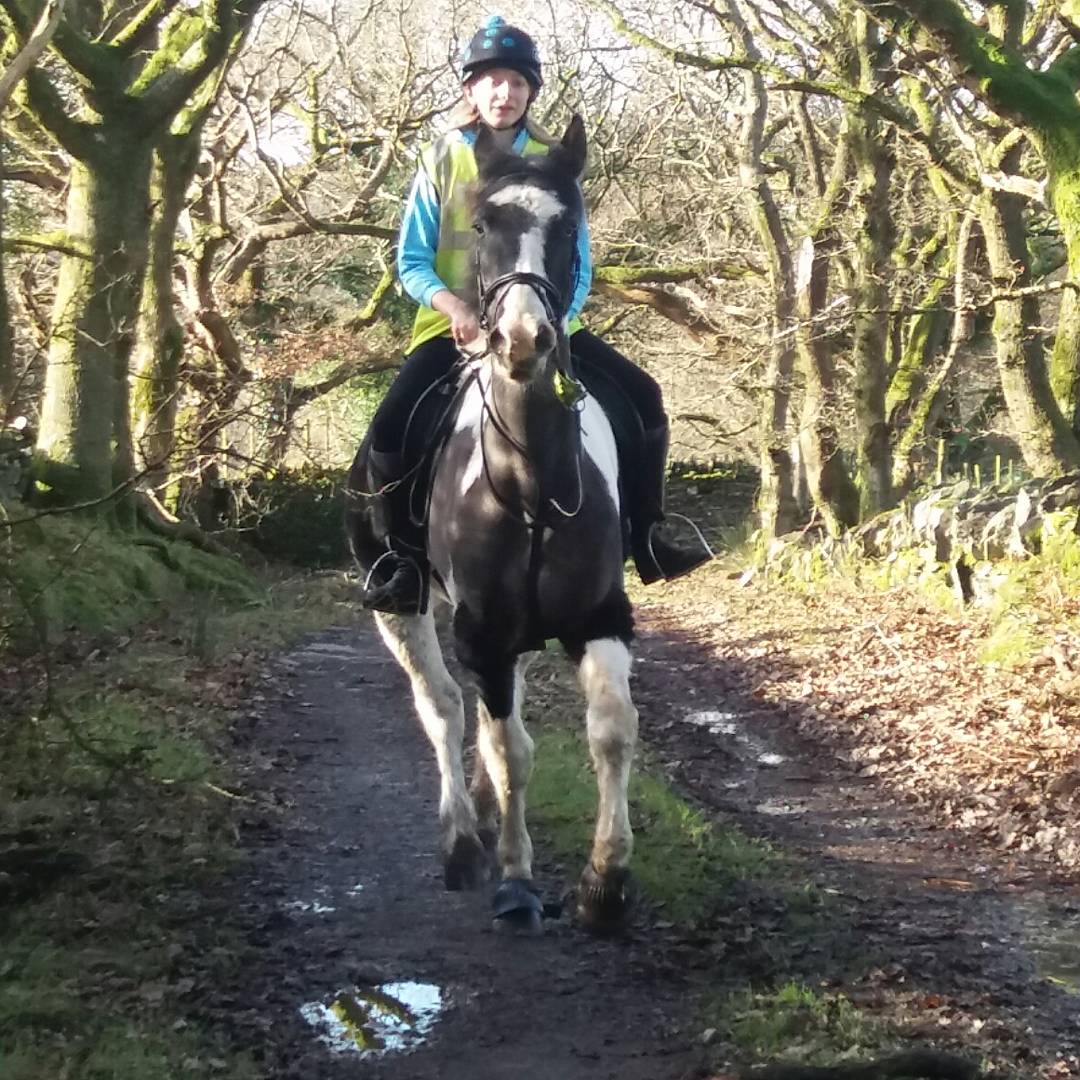 meihebsnbadgers's tweet photo. Bore braf am hack i #Pentrefelin. https://t.co/6EoylLhkfz