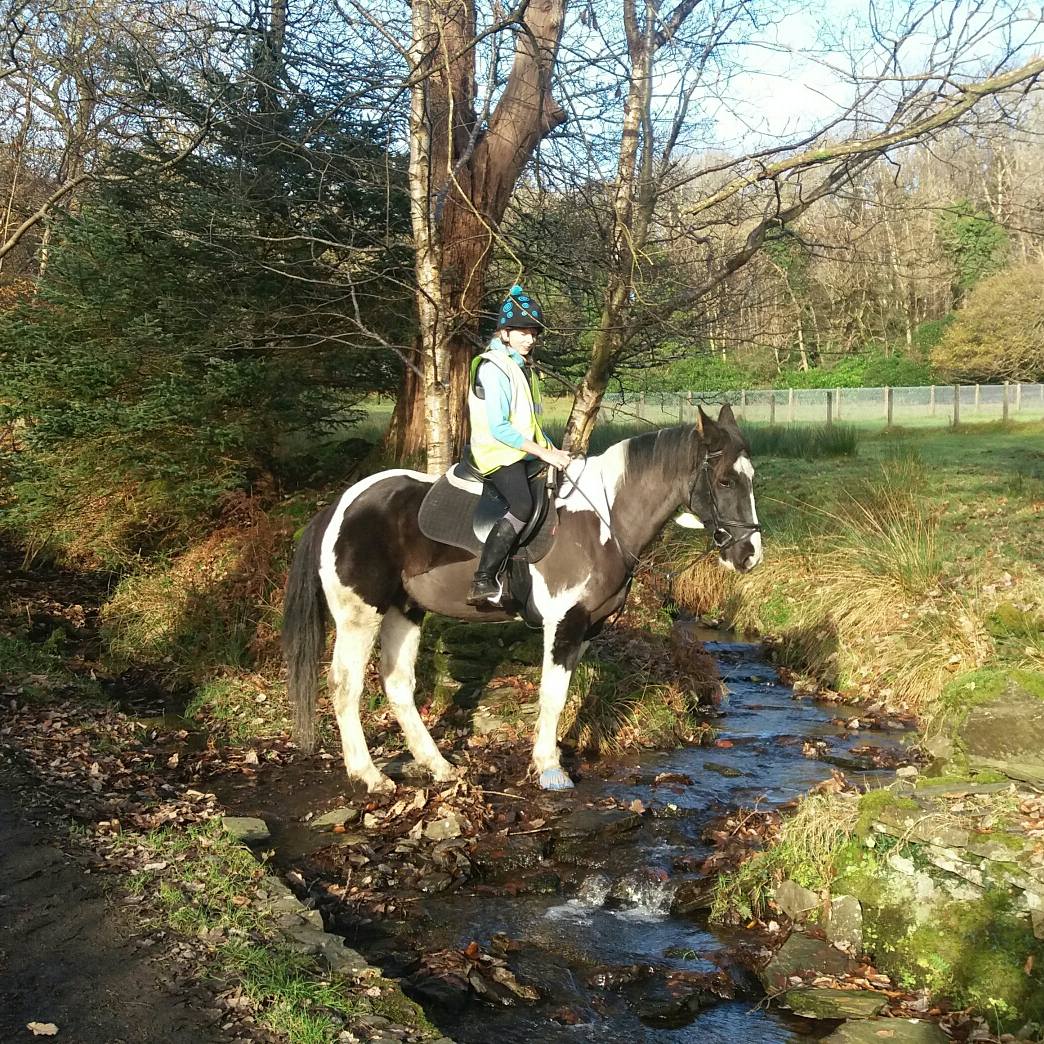 meihebsnbadgers's tweet photo. Bore braf am hack i #Pentrefelin. https://t.co/6EoylLhkfz