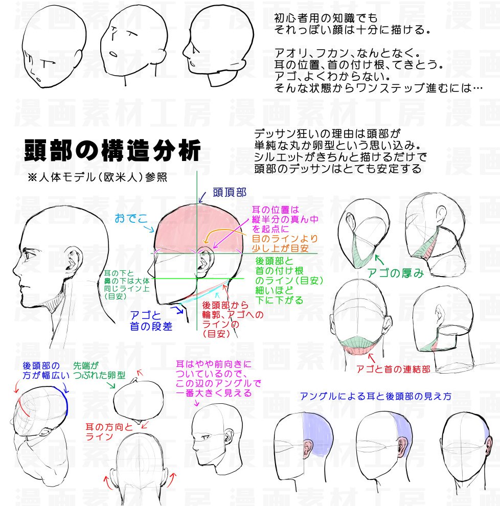 漫画素材工房 على تويتر 長年アオリ フカンの顔のデッサン狂いに悩み続けた私が デッサン力とスピードをあげて 描く楽しさまで激増した方法です 頭部の描き方 アオリ フカン克服法 中級者向け テキスト版はまとめはこちら T Co 3ri9hsbwuk 素材 漫画素材工房 على تويتر 長年アオリ フカンの顔のデッサン狂いに悩み続けた私が デッサン力とスピードをあげて 描く楽しさまで激増した方法です 頭部の描き方 アオリ フカン克服法 中級者向け テキスト版はまとめはこちら T Co 3ri9hsbwuk 素材