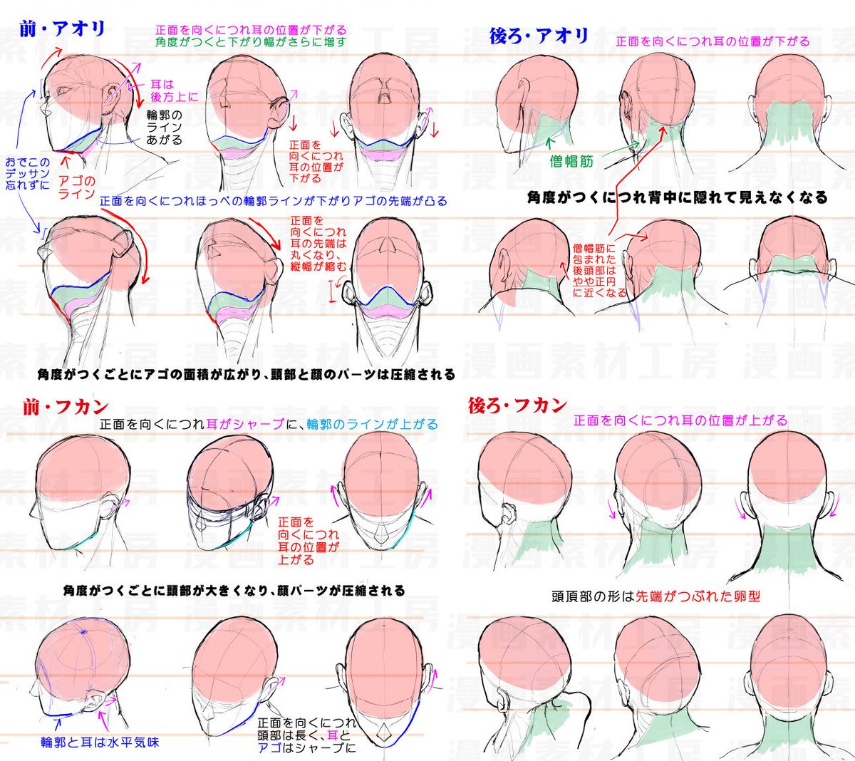 漫画素材工房 プロフ必読 Check Bio 長年アオリ フカンの顔のデッサン狂いに悩み続けた私が デッサン力とスピードをあげて 描く楽しさまで激増した方法です 頭部の描き方 アオリ フカン克服法 中級者向け テキスト版はまとめはこちら