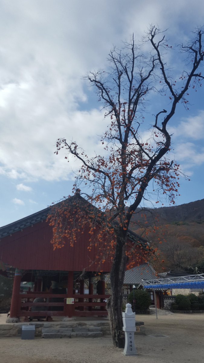 인연은
스스로 만드는 것이지
결코 우연히 오는 법은 없다
오늘 그 이쁜 인연을 만나고 왔다
그래서 행복하다
행복은 돈이 시간이 
주는게 아니라 이쁜 인연이
주는 작고도 큰 선물이다.