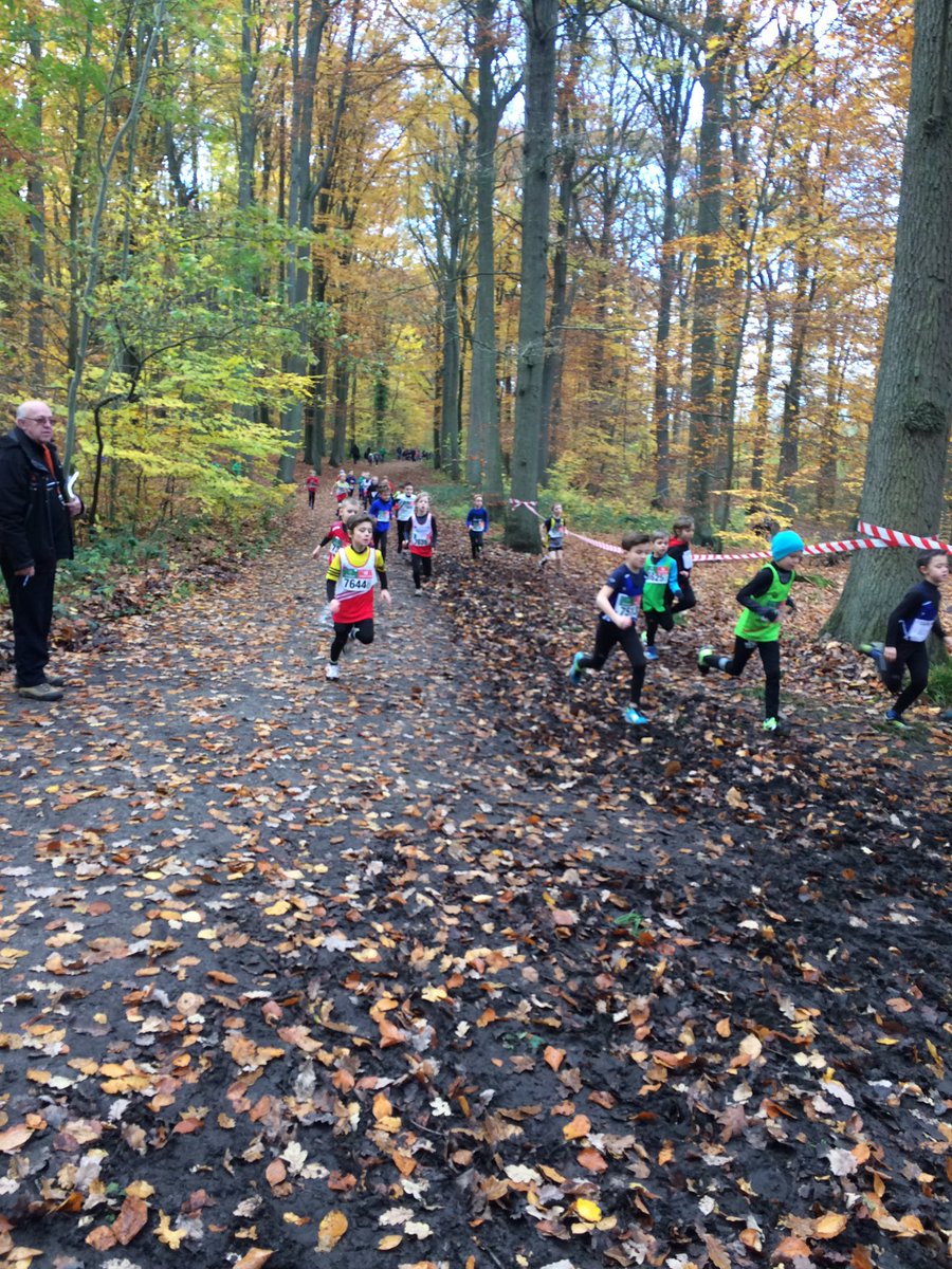 ACKOrtenberg's tweet photo. En ze zijn bezig #veldloopacko https://t.co/NqjjgcWKcS
