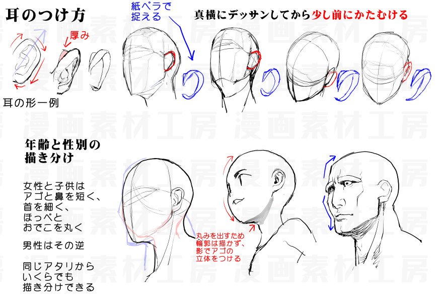 漫画素材工房 プロフ必読 Check Bio 顔の描き方 アオリ フカンの顔パーツの配置方法 中級者向け アオリ フカン顔の克服法 テキスト版まとめはこちら T Co 3ri9hsbwuk 素材 デッサン 素材 豆知識