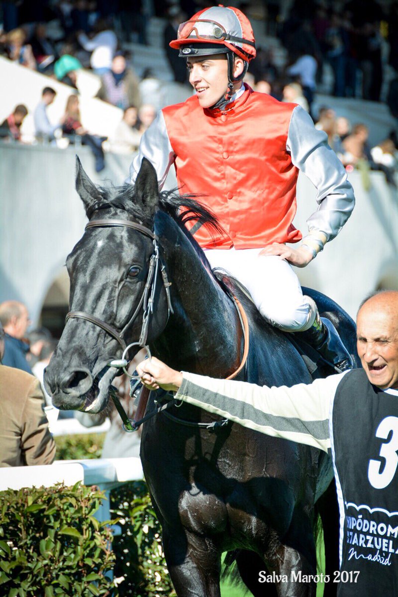 SalvaMaroto3's tweet photo. @AgaloparTurf @thederbyday @TurfZH Mirmidon con la supermonta de @labordepablo pasa por ganadores. https://t.co/NlFHRmgkGf