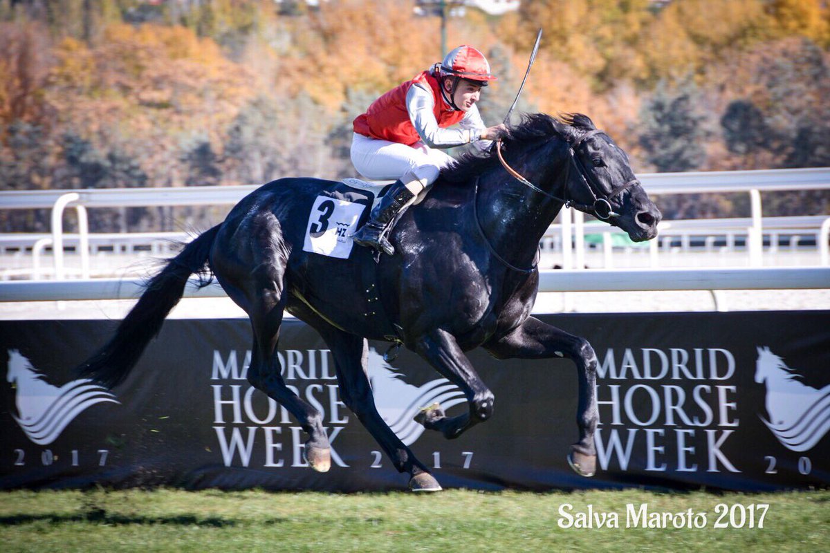 SalvaMaroto3's tweet photo. @AgaloparTurf @thederbyday @TurfZH Mirmidon con la supermonta de @labordepablo pasa por ganadores. https://t.co/NlFHRmgkGf