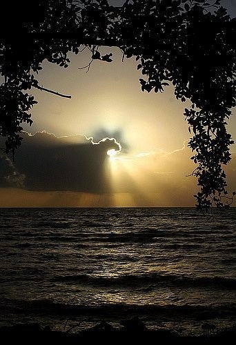 silent_ferryman's tweet photo. Für alle Zeit
sehe ich durch deine Augen
die Bäume,die Wolken
höre im Wind dein Lachen
spüre im Regen deine Seele
ich durfte dich begleiten
du hast mich beschenkt
Für alle Zeit schlägt dein Herz in mir, bist du in mir
begleitest mich
für alle Zeit
bis wir uns wiedersehen

Für S&amp;G https://t.co/XY9i5WY3am