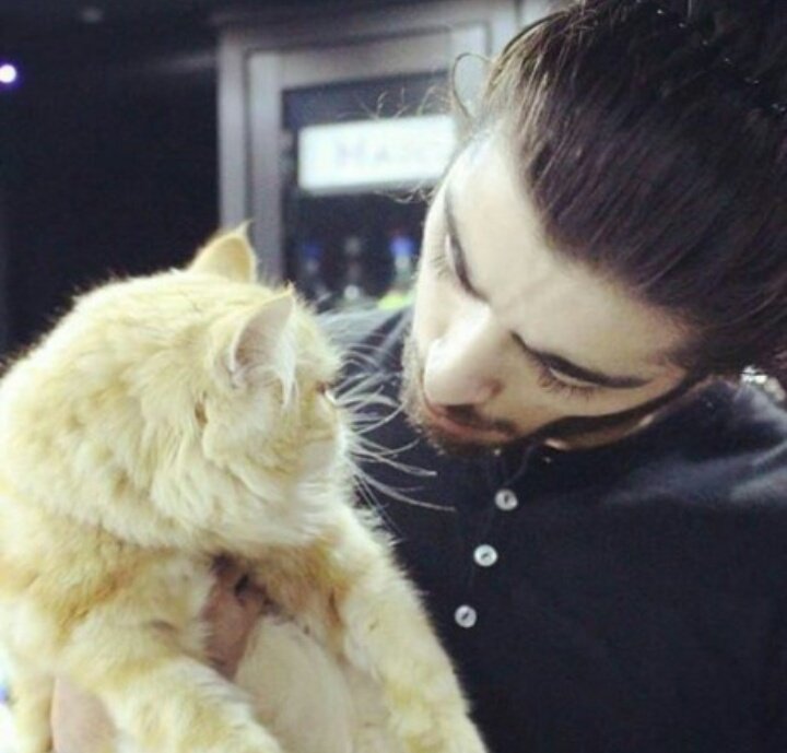 zarrysgallery's tweet photo. zarry and cats https://t.co/DcwQChKZJC
