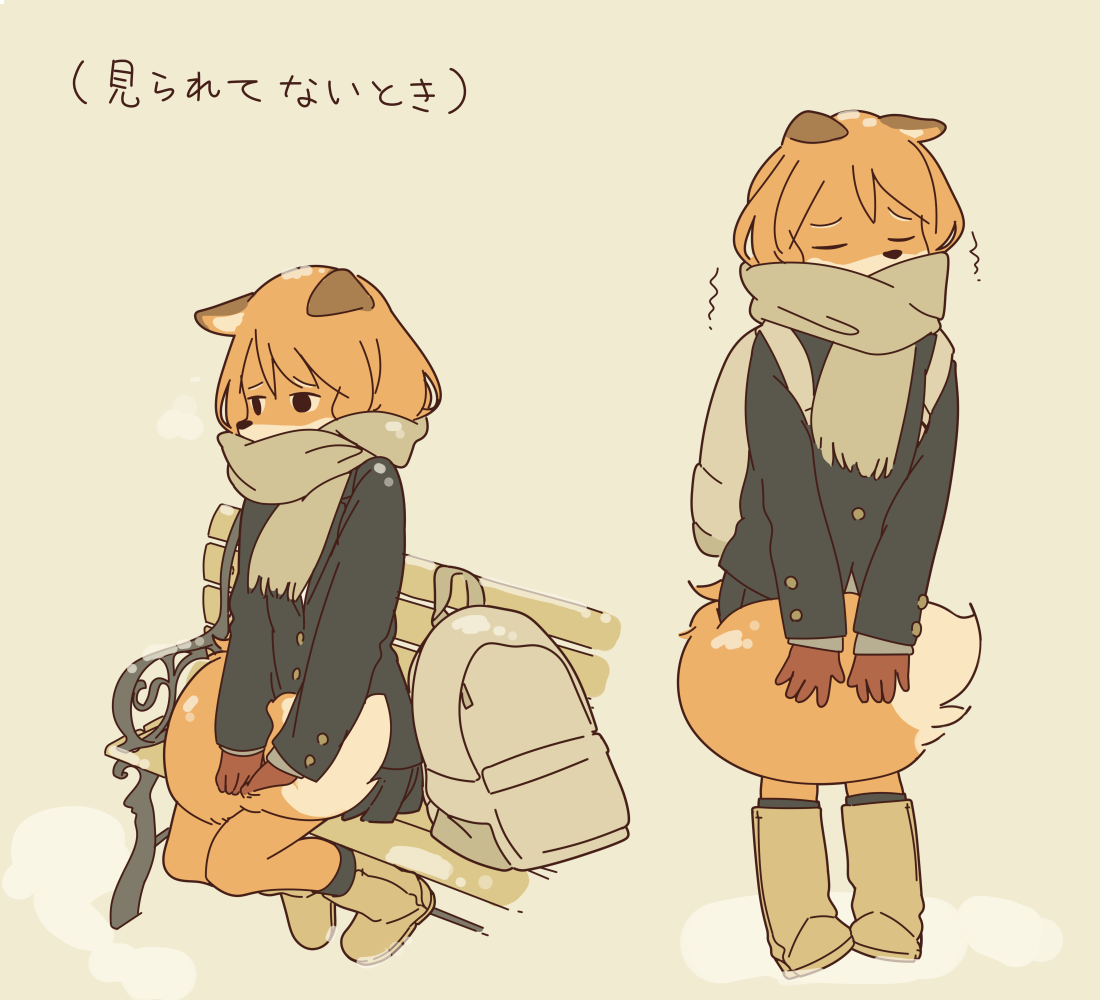 実は寒いのに強がるキツネの女の子です 