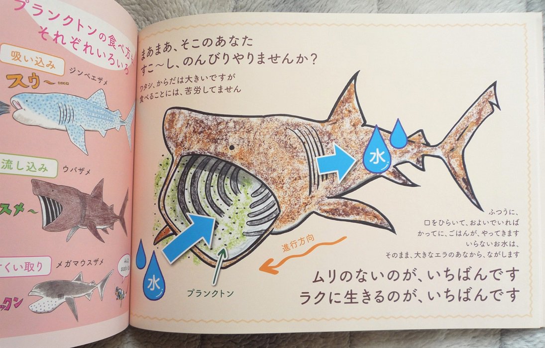 悠冴紀 Twitterissa 手持ちの鮫グッズをhp上で紹介する今月の鮫グッズ のコーナー 更新いたしました 11月のピックアップは 知人のずかん作家 ずかんくん が最近出版した手書きのイラスト図鑑 ラララさめのくに です T Co Mlkkts4lq7 T Co