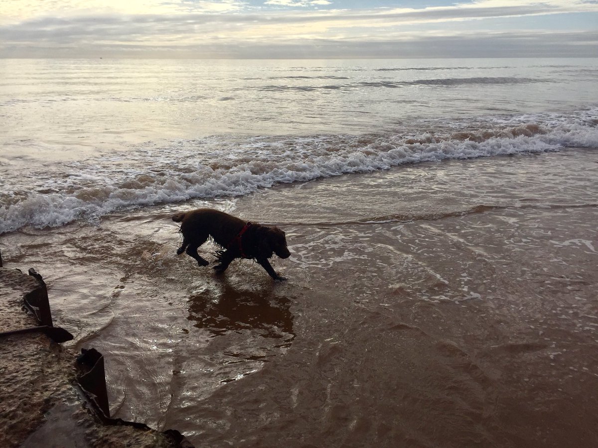74JLP's tweet photo. Sunday morning stroll with the pooch! #thebyes #sidford #sidmouth https://t.co/ZzrNO6eq9E