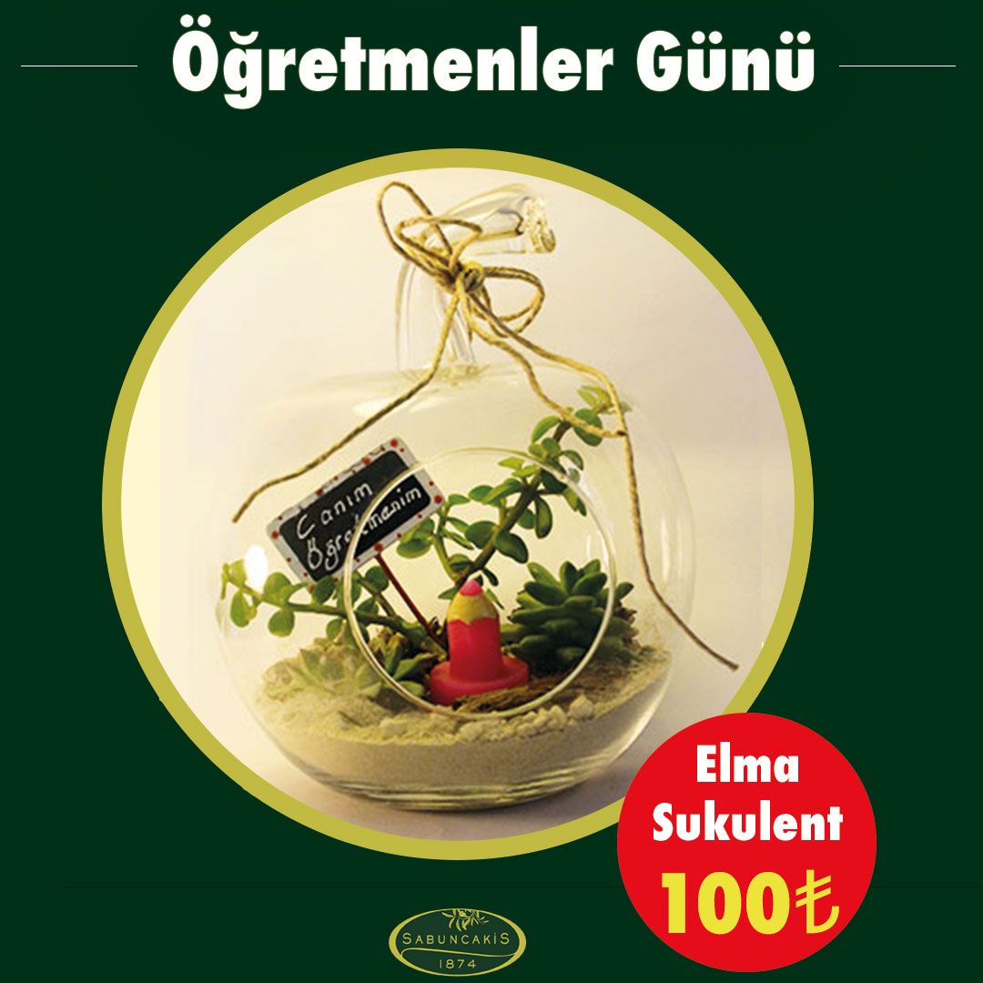 Öğretmenler Günü için En Özel Çiçekler En Özel Fiyatlarla Sabuncakis'te!...

#öğretmenlergünü #24kasım