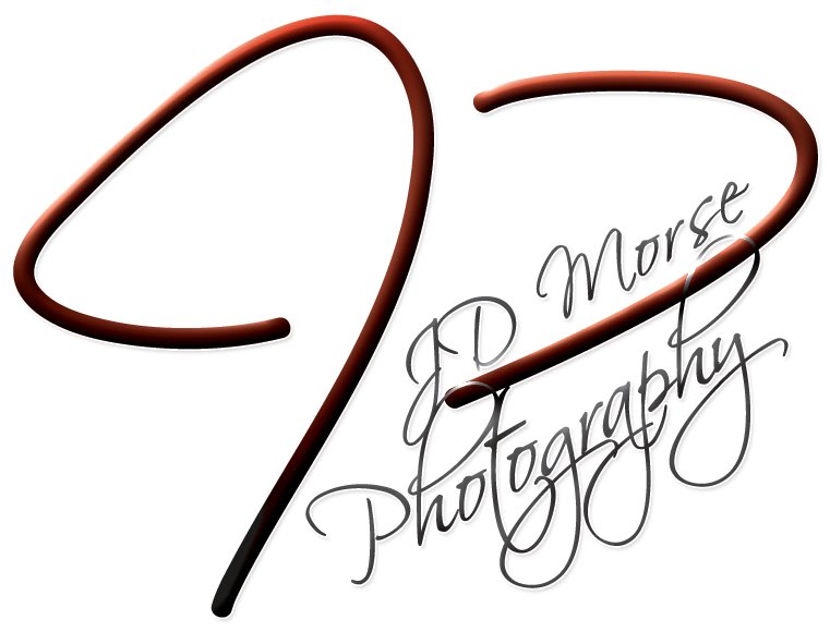 JD Morse™ on Twitter "I shaved my head for this.... 😉DSC500 