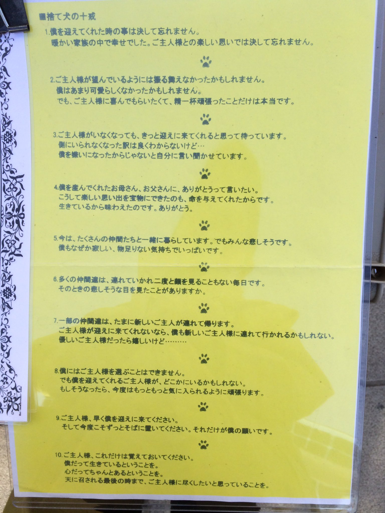 浩代 على تويتر 遺棄された動物達が辿る保健所での処分 譲渡会で使って居る犬の十ヶ条知らない方は是非一読下さい 嬉しく思います 浩代 على تويتر 遺棄された動物達が辿る保健所での処分 譲渡会で使って居る犬の十ヶ条知らない方は是非一読下さい 嬉しく思います