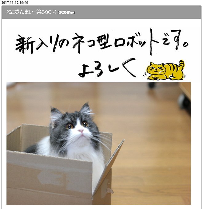 快適ねこ生活